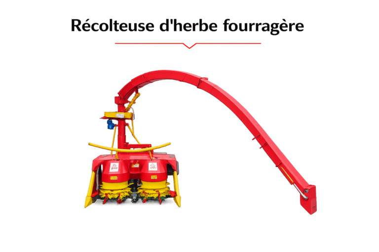 sdfgdfg